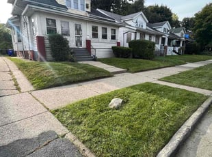Mai D.'s Lawn Service service result