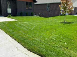 Tracy G.'s Yard Cutting service result