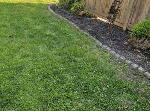Weeding by Jeffrey Kemp for Colin T. in Lansdale, PA