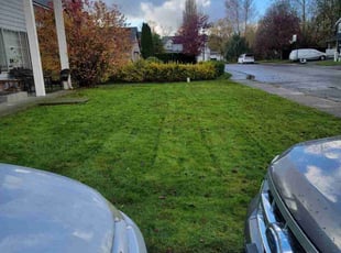 Bob X.'s Lawn Maintenance service result