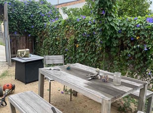 Bush Trimming by Robert Camarena for Amanda E. in Los Angeles, CA
