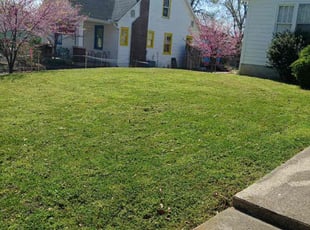 Larry S.'s Grass Cutting service result