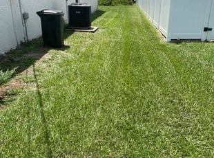 Kiana J.'s Lawn Maintenance service result