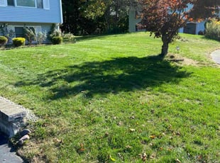 Dawud A.'s Yard Cutting service result