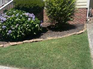 Cleanups by Gonzalo A Rodriguez for Parker D. in Durham, NC