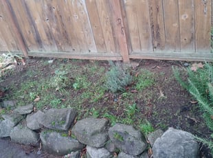 Leaf Removal by Brandon Hill for Sharlei H. in Portland, OR