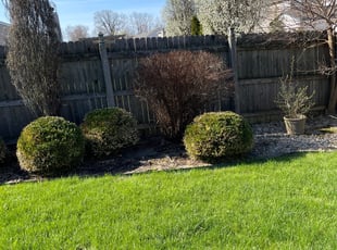 Bush Trimming by Luis Contreras for Jeffrey C. in McCordsville, IN