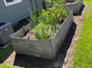 Cleanups by Ricardo Lobatos Vega for Julia D. in Portland, OR