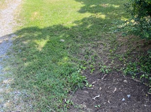 Amy A.'s Cleanups service result