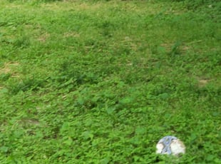 Cleanups by Mario Giallombardo for Steven . in Williamsburg, VA