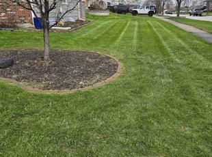 Christine W.'s Grass Cutting service result