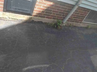Leaf Removal by Elizabeth Williams for Joan M. in Cleveland Heights, OH