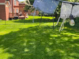 August D.'s Lawn Service service result
