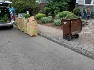 Cleanups by Igor Kernogitski for David M. in Gladstone, OR