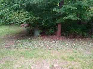 Cleanups by Curtis Cullity for Jenna U. in Fort Gratiot Township, MI