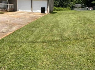 JENNIFER D.'s Lawn Care service result