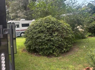 Bush Trimming by Kenneth Rome for Sheila P. in Pensacola, FL