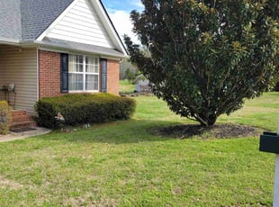David N.'s Lawn Service service result