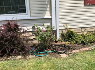 Weeding by Sean Curran for Rena M. in St. Louis, MO