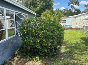 Bush Trimming by Ramon Taguja for Daniel T. in Riverview, FL