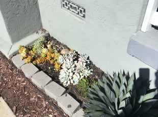 Weeding by Andy Tamez for Patrick G. in San Diego, CA