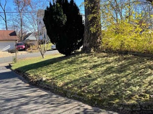 Leaf Removal by Hector Blanco for Jessica W. in Falls Church, VA