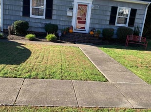 Bush Trimming by Clinton Peet for Angelica H. in Norfolk, VA