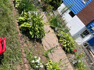 Weeding by Ruben Fox for Samoy M. in Hartford, CT