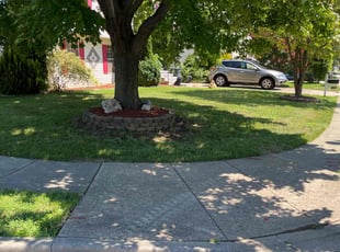 Cleanups by David Alexander for Dora D. in Frederick, MD