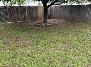 Leaf Removal by Carlos Arteaga for Melanie D. in Helotes, TX