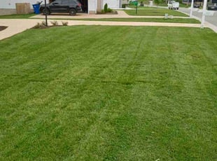 Carrie W.'s Lawn Care service result