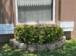 Bush Trimming by James Ramey for Joey W. in Kissimmee, FL