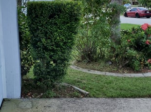 Bush Trimming by Leandro Lobo for Christina C. in Kissimmee, FL