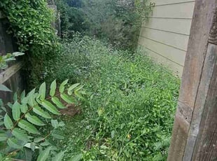 Cleanups by William Beacham for Kim L. in Wichita, KS