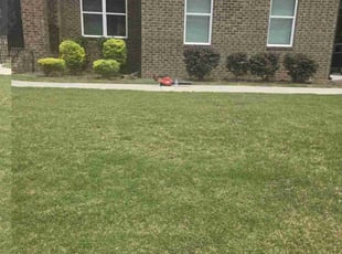 Bush Trimming by Crystal Murillo for Kerbias B. in Conyers, GA
