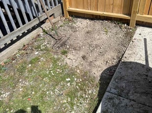 Cleanups by Roberto Sarmiento for Tattiana S. in Cicero, IL