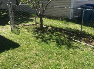 Cleanups by Jose Sanchez for David D. in Hanover Park, IL