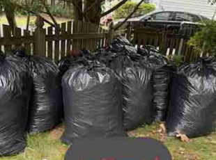 Leaf Removal by James Mclean for Tori S. in Glen Allen, VA