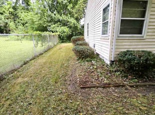 Bush Trimming by Thomas Abney for Ella M. in Akron, OH