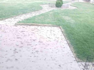 Jeffrey C.'s Lawn Care service result