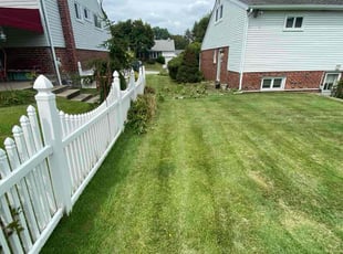 Bush Trimming by Alphonso Payne for Alicia G. in Broomall, PA