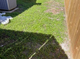 Leaf Removal by Heriberto Lopez for Jose A. in Corpus Christi, TX