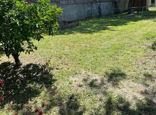 Richard R.'s Lawn Maintenance service result