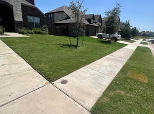 Nicholas M.'s Lawn Mowing Service service result
