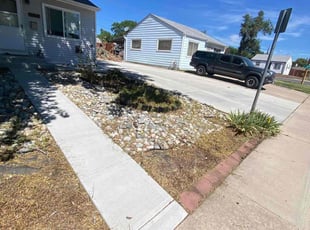Cleanups by David Williams for Whitney Y. in Denver, CO