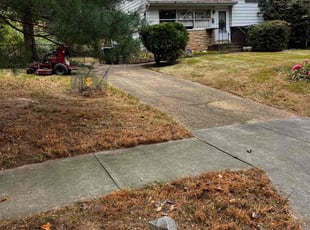 Leaf Removal by Khalim Yularnis for Deanna N. in Vienna, VA