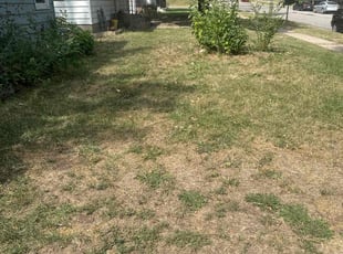 Cleanups by Ismael Lozano for Deanna D. in Saint Paul, MN