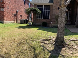 Bush Trimming by Nate Collins for Benjamin B. in Grand Prairie, TX