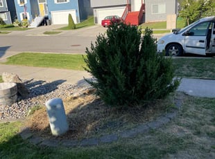Weeding by Mihail Seremet for Simon P. in Spokane Valley, WA
