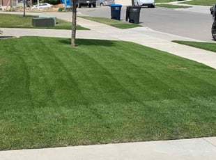 Darla B.'s Lawn Service service result